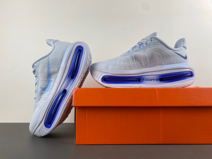 Nike Air ZoomX Pegasus Premium FN8453-011