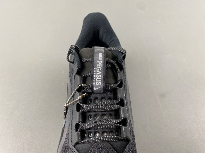 Nike Air ZoomX Pegasus Premium HQ2592-005