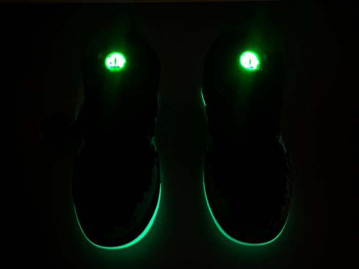 Air Jordan 1 Low “Fortune Fly” HQ3442-001