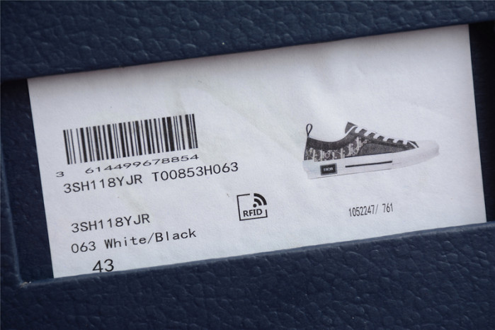D10R B23 Sneakers Low Top