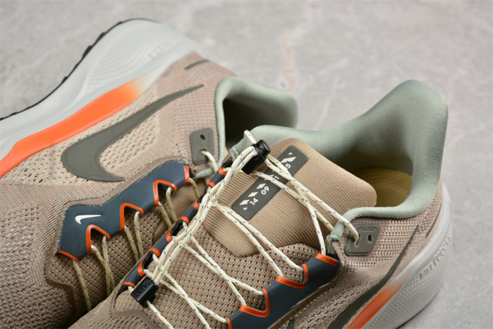 Nike Air Zoom Pegasus 41 