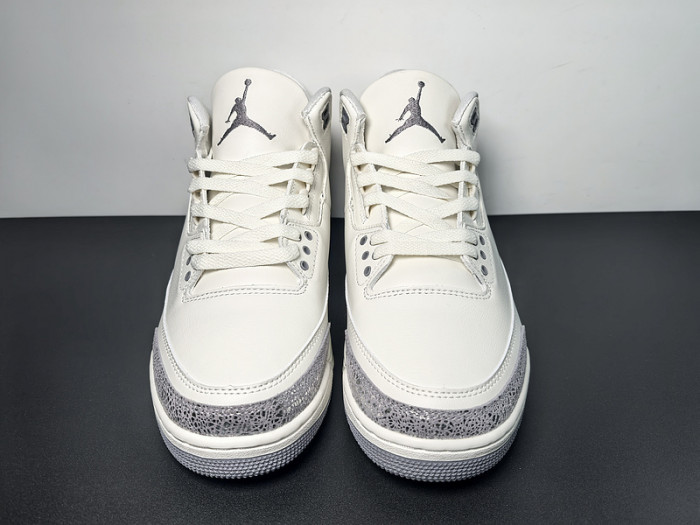 Air Jordan 3 Retro 