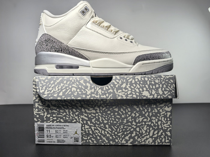 Air Jordan 3 Retro 