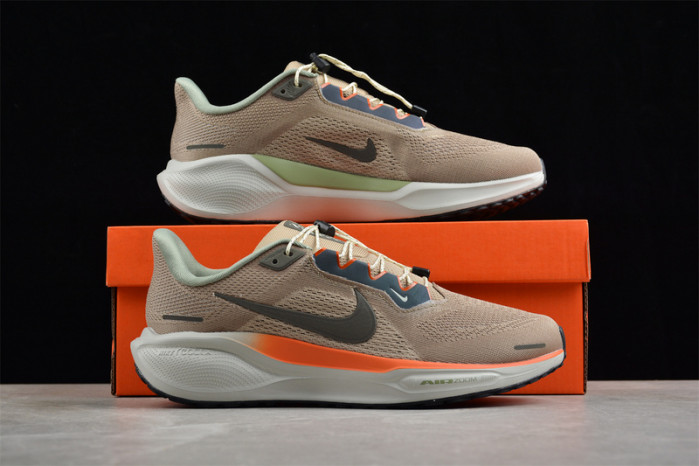 Nike Air Zoom Pegasus 41 